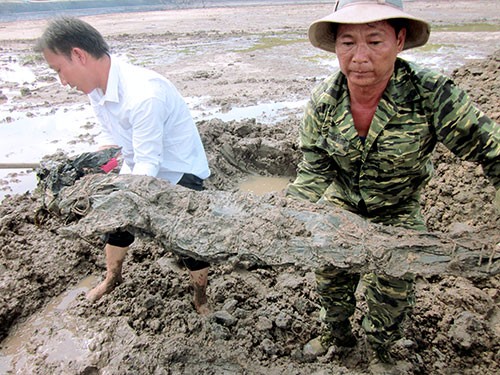  Repatriation of soldiers’ remains in Dong Nai province - ảnh 2